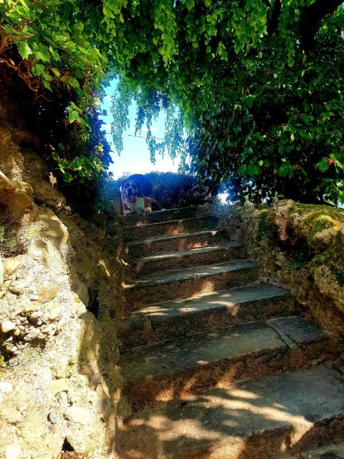 B&B Margot Albavilla Εξωτερικό φωτογραφία